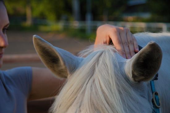 Massage der Nackenmuskulatur